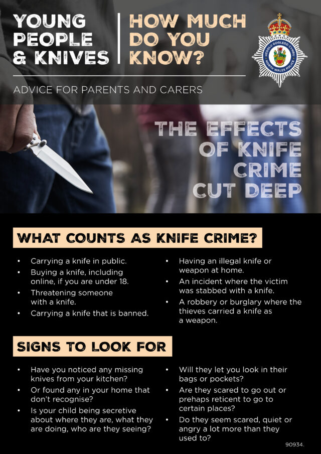 90934 Young Persons Knife Crime Flyer e