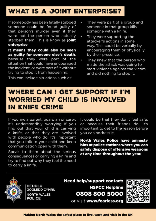90934 Young Persons Knife Crime Flyer e2