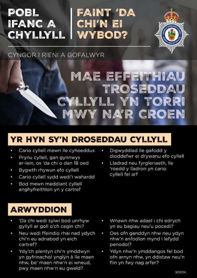 90934 Young Persons Knife Crime Flyer w