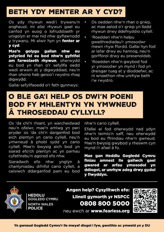 90934 Young Persons Knife Crime Flyer w2